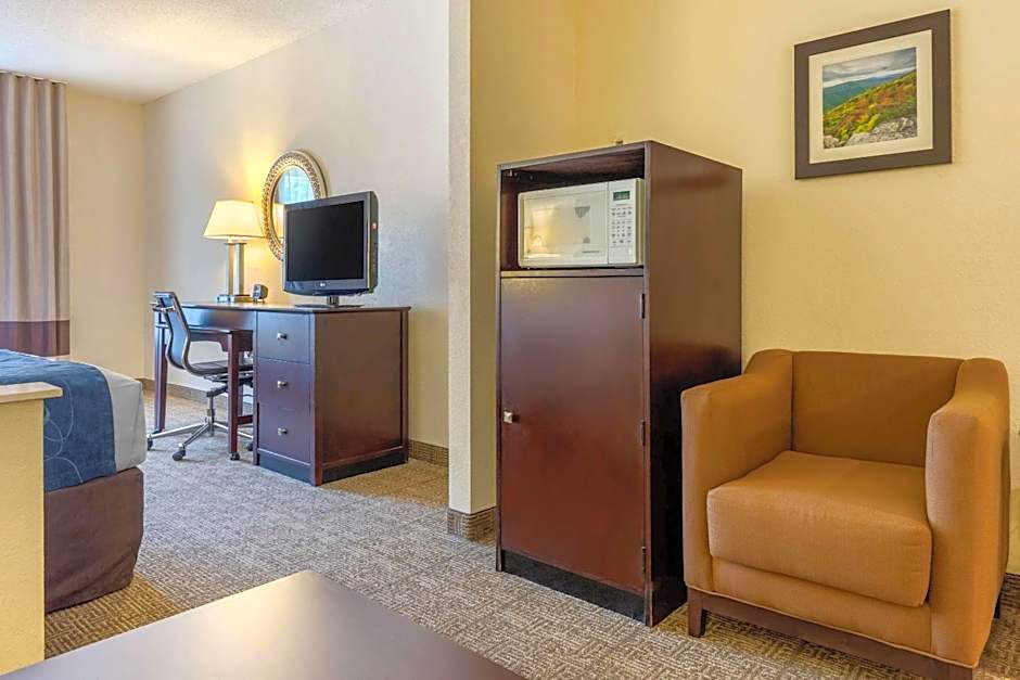 Comfort Suites Gastonia - Charlotte