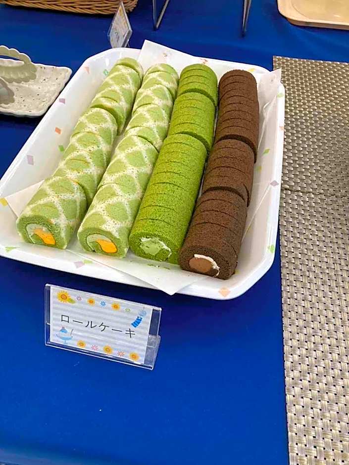 Toyoko Inn Yashio Ekimae