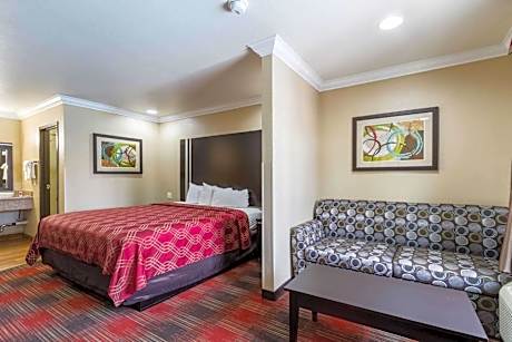 King Suite with Sofa Bed - Non-Smoking