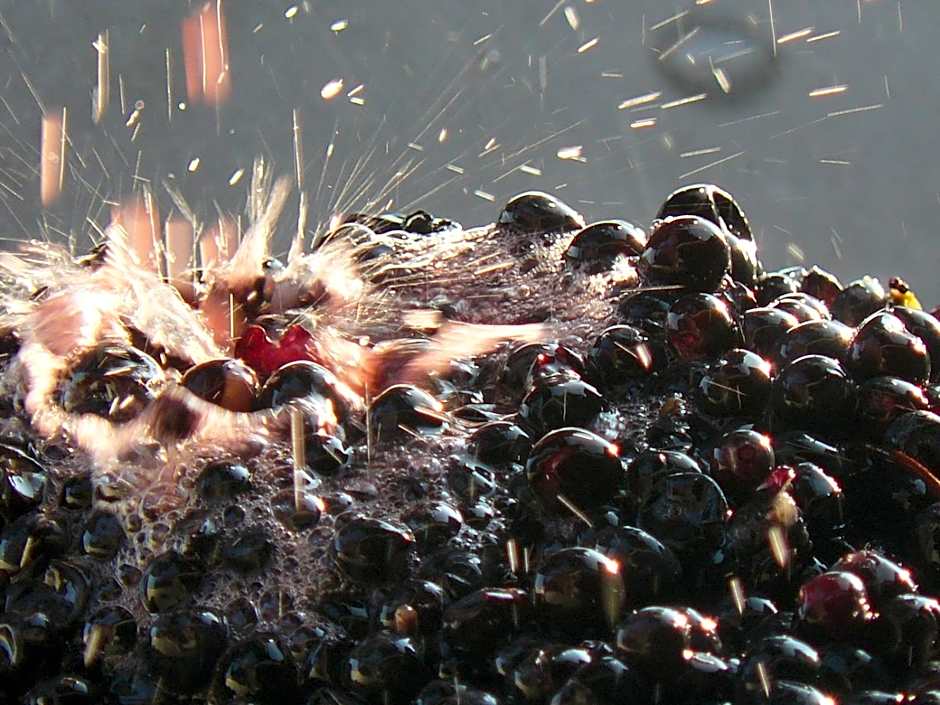 Chateau de la Vieille Chapelle