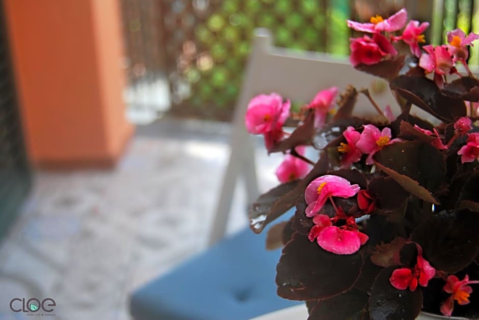 B&B PLANO DE LACZARULO