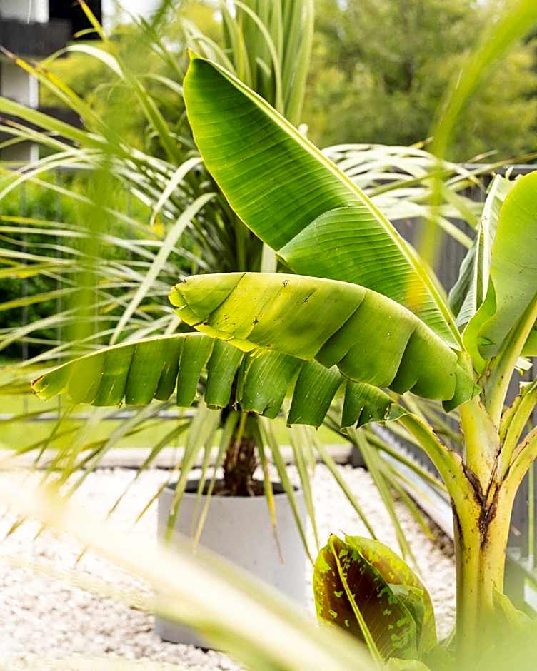 QC Hotel Quartier Chiemsee