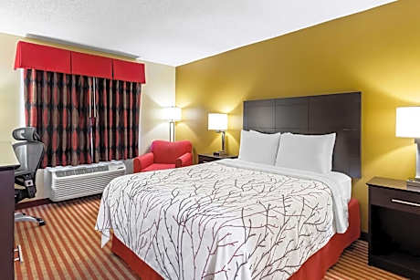 Queen Room with Roll-in Shower - Non-Smoking/Mobility Access