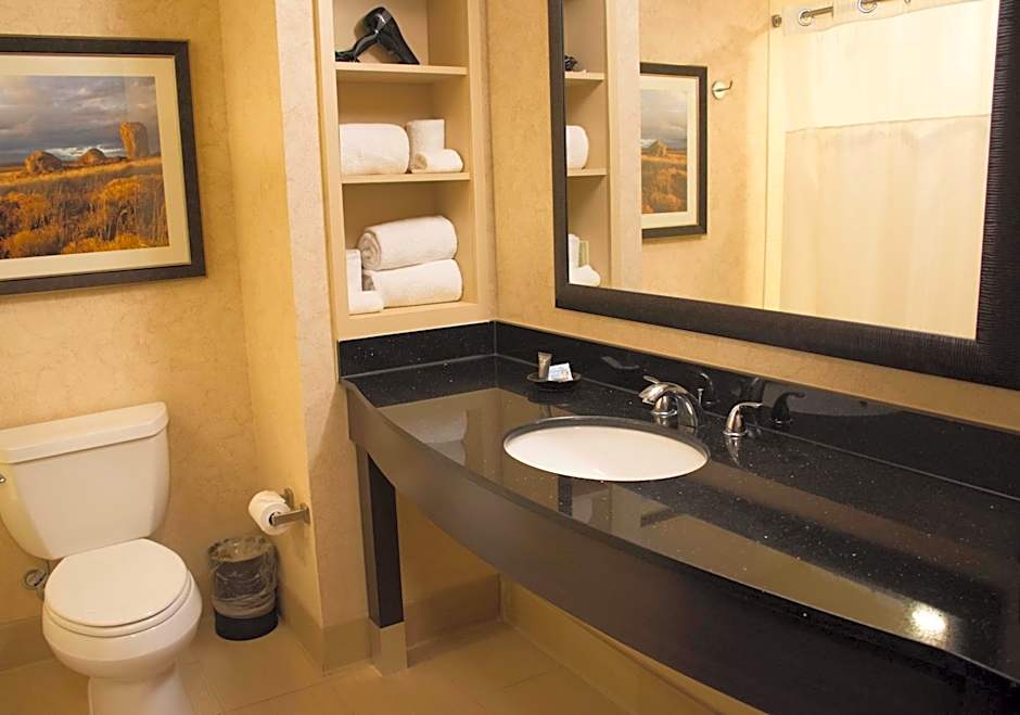 Zia Park Casino, Hotel, & Racetrack