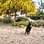 Quinta Lorame