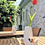 Hotel Rhin Inn