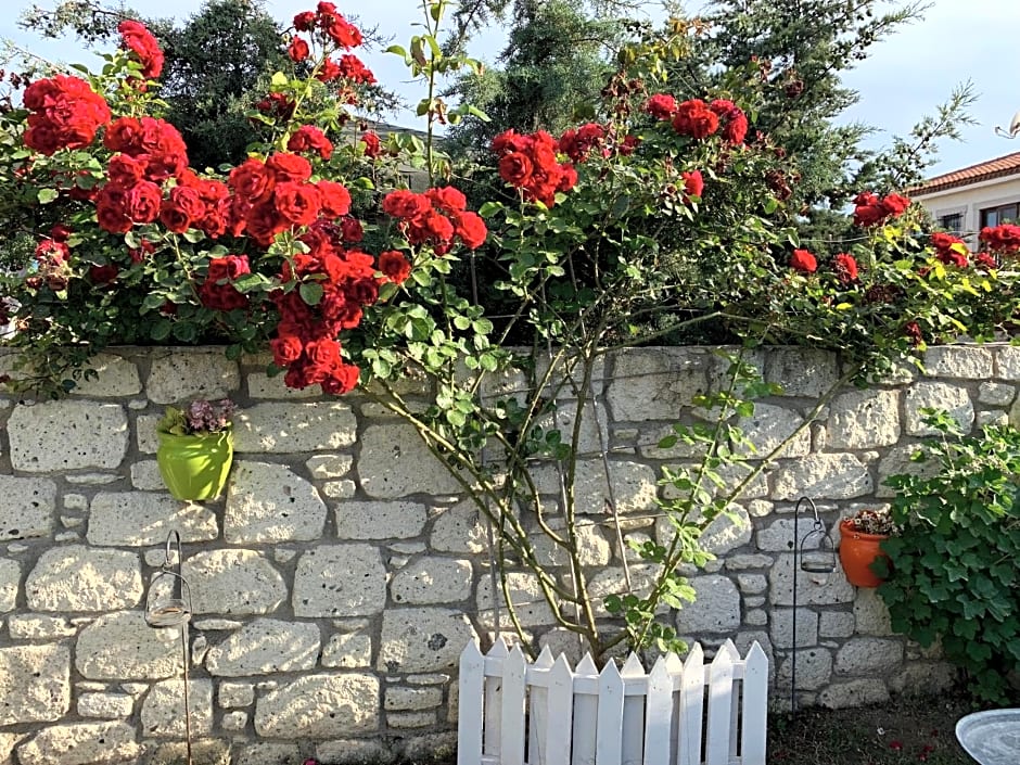 Windmill Alaçatı