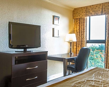 ROOM, KING BED, CITY VIEW
