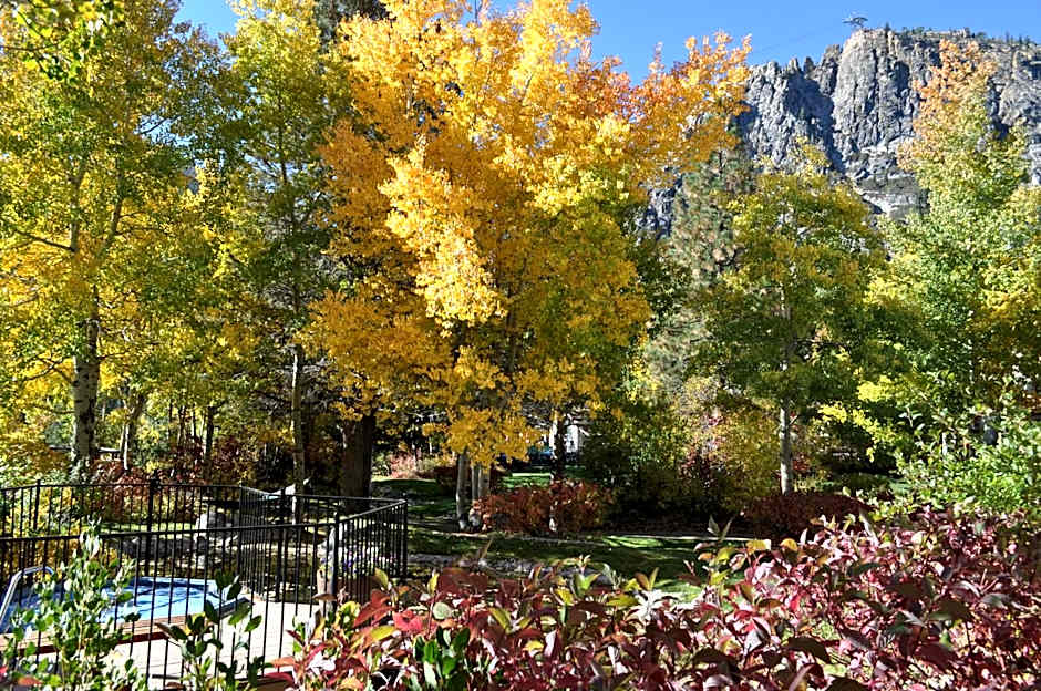 Olympic Village Inn Olympic Valley