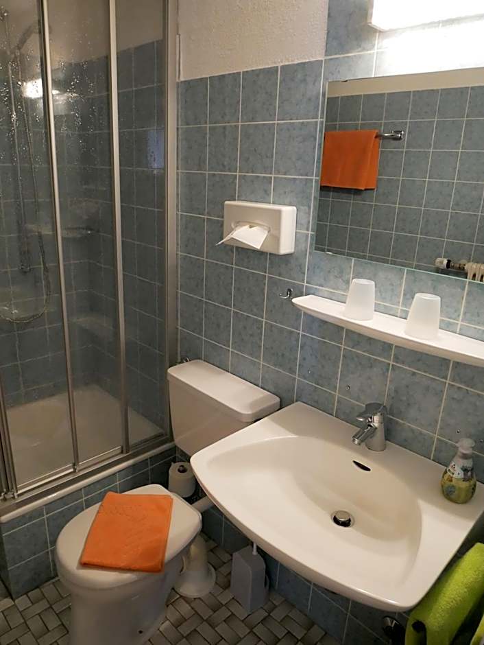 Wochner's Hotel-Sternen Am Schluchsee Hochschwarzwald