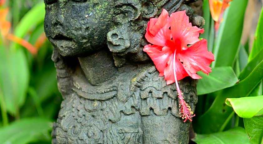 Room & Vespa Suite 1