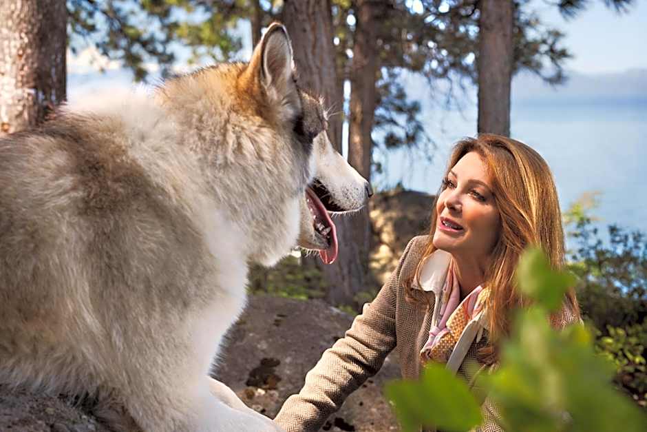 Caesars Republic Lake Tahoe - A Caesars Rewards Destination