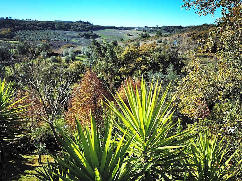 Quinta do Vale Encantado "the Valley" - Santarém - Portugal