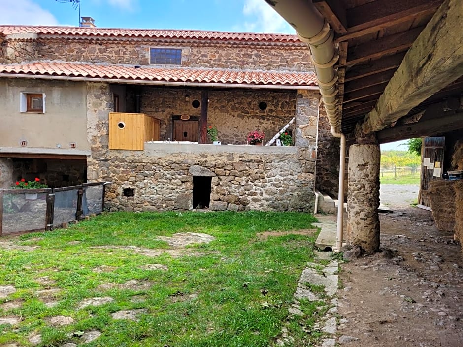 Ferme de la Combe - The Goldy's Farm