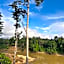 Taman Negara River View Lodge