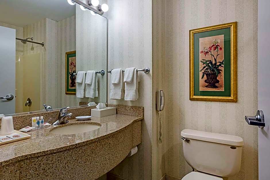 Comfort Inn & Suites East Greenbush