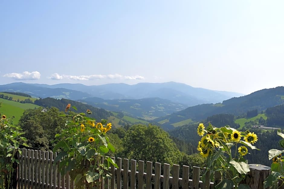 Ferienhaus Schleinzer