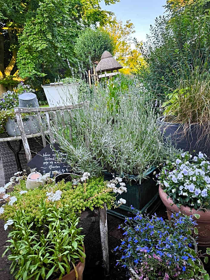 Golf- & Landhotel am alten Deich