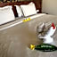 Hotel Genggong