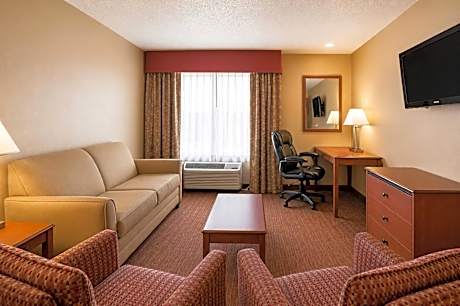 1 King Bed Suite Nonsmoking