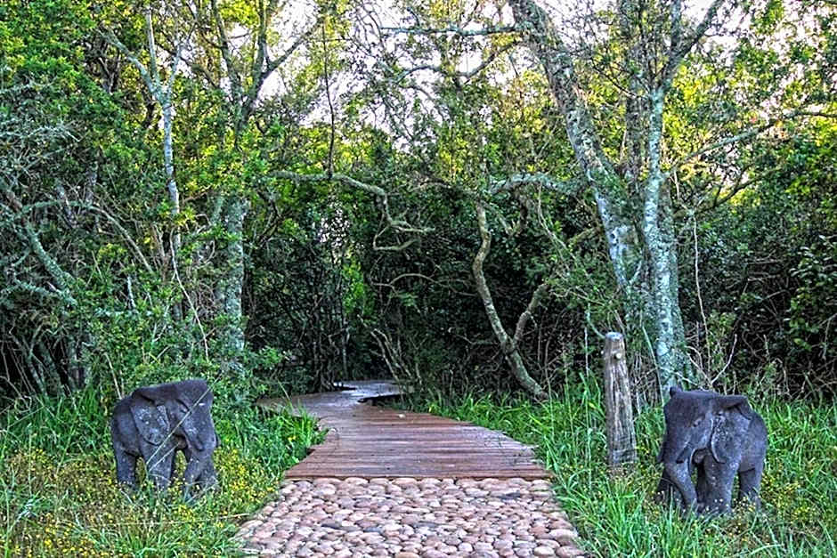Sibuya Game Reserve and Lodge