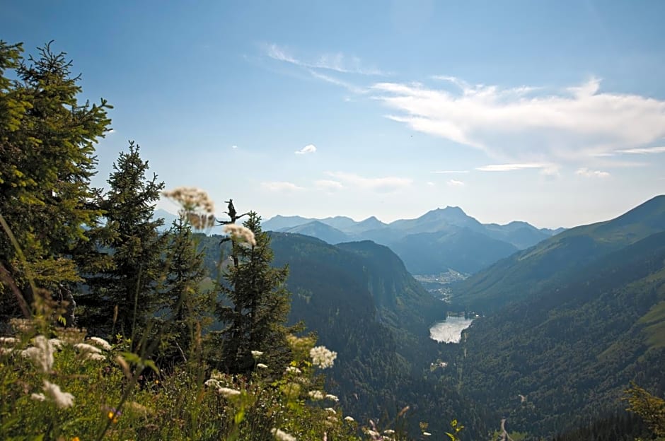 Chalet sur les monts Morzine