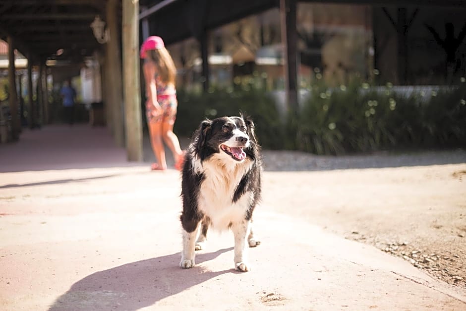 Hotel Fazenda Dona Francisca