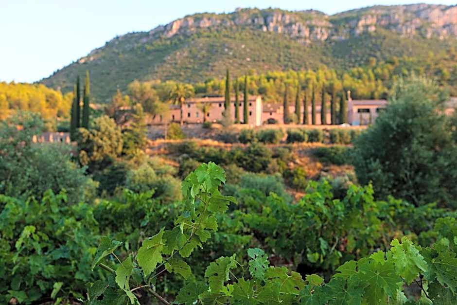 Terra Dominicata - Hotel & Winery - Adults Only