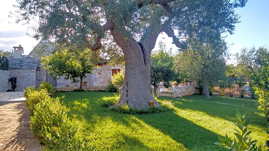 Il Giardino degli Ulivi