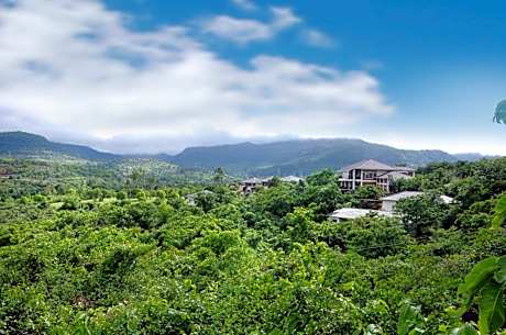 Forest Escapes Koyna