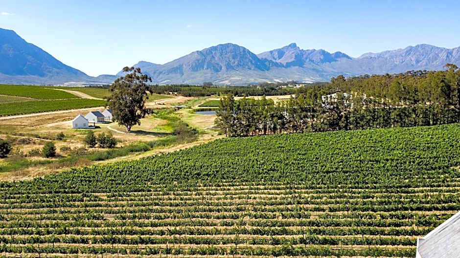 Manley Wine Estate