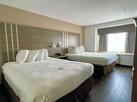 Queen Room with Two Queen Beds