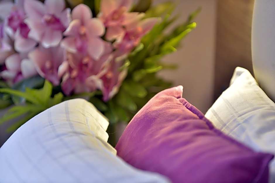 Unic Renoir Saint Germain