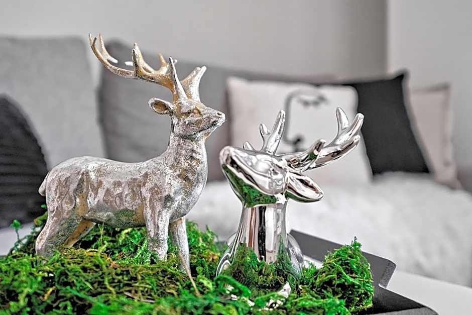 Apartamenty Maciejka Odkryj Zakopane