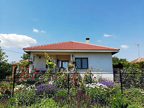 House Albena