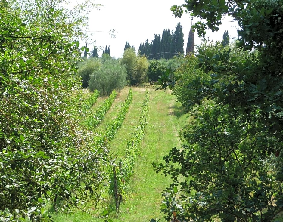 A Casa di Lizzy B&B