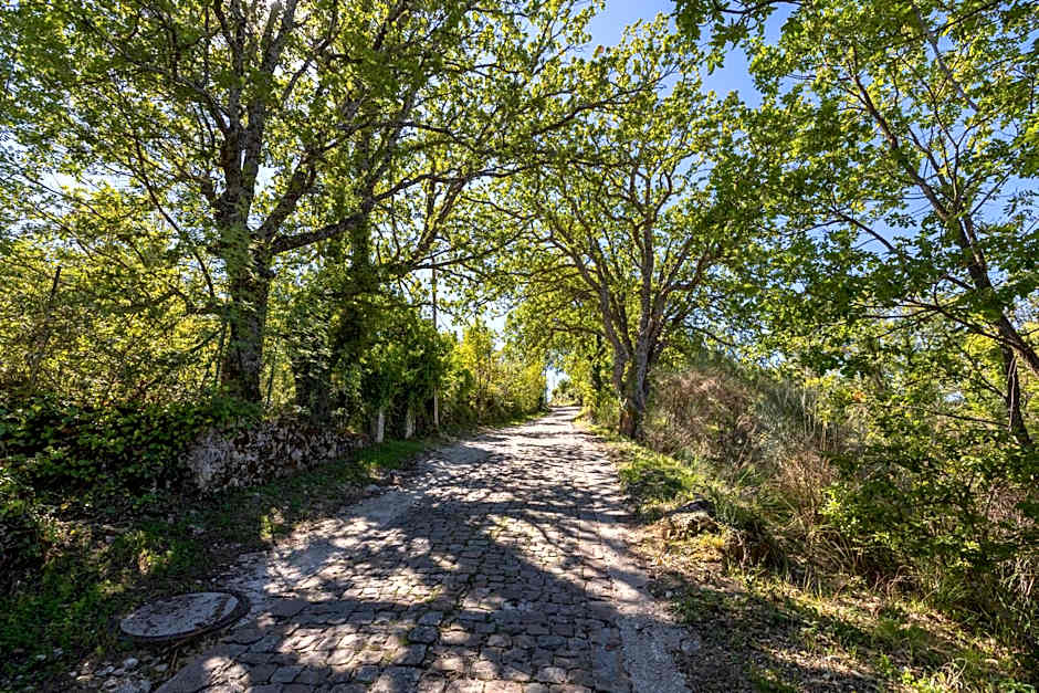 Baglio Saccù apartment & spa