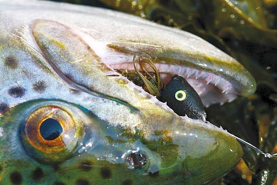 Slotskro & Gæstgivergård ved Gram Slot