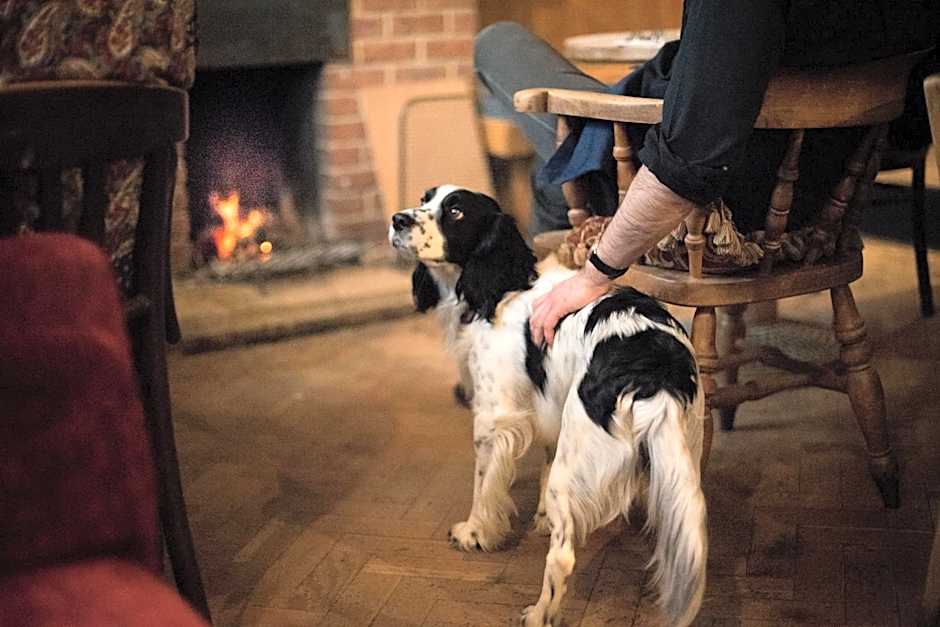 Helen Browning's Royal Oak