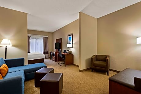 1 King Bed Efficiency Suite Nonsmoking Accessible