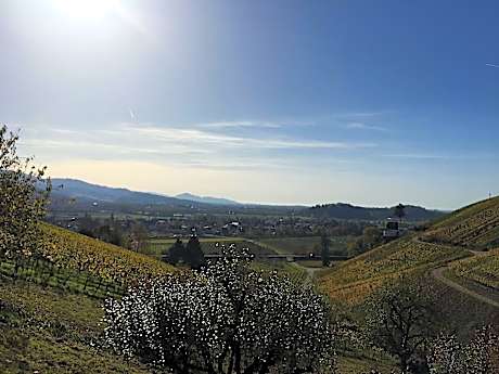 Hirschenstube Gästehaus Gehri