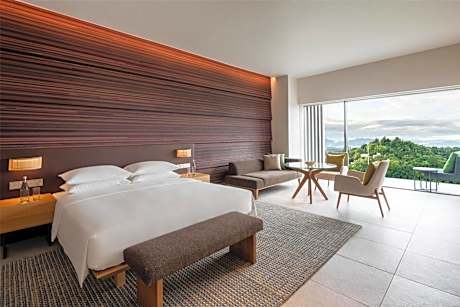 Deluxe King Room with Hill View