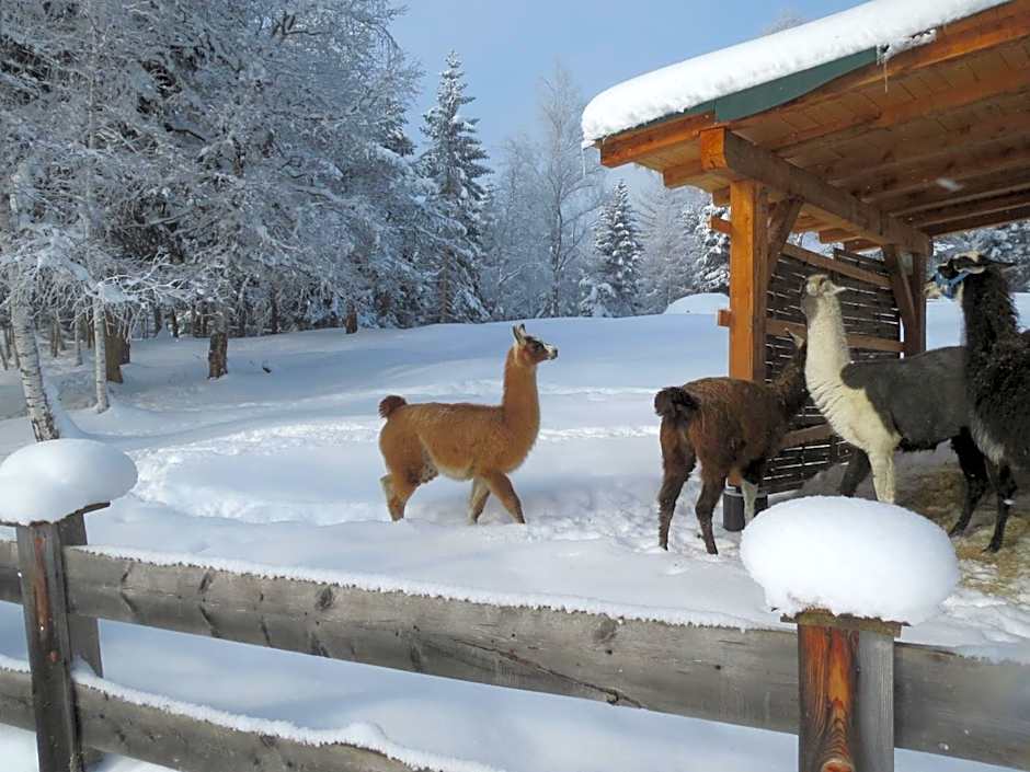 Landhaus Charlotte am Geigenbuehel -Apartments
