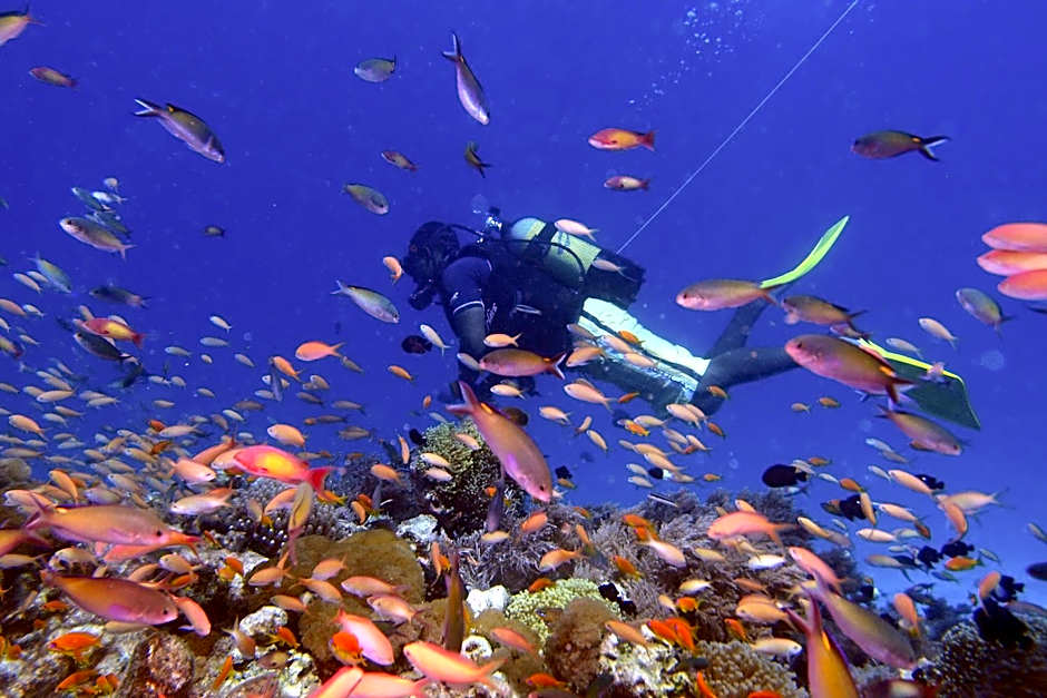 Sunshine Marine Lodge