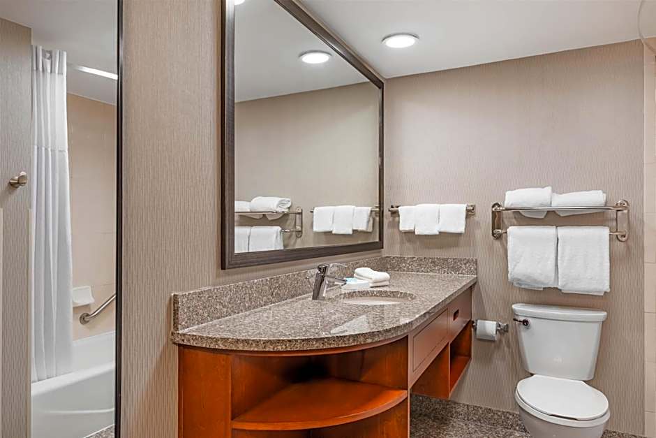 Drury Plaza Hotel St. Louis Union Station
