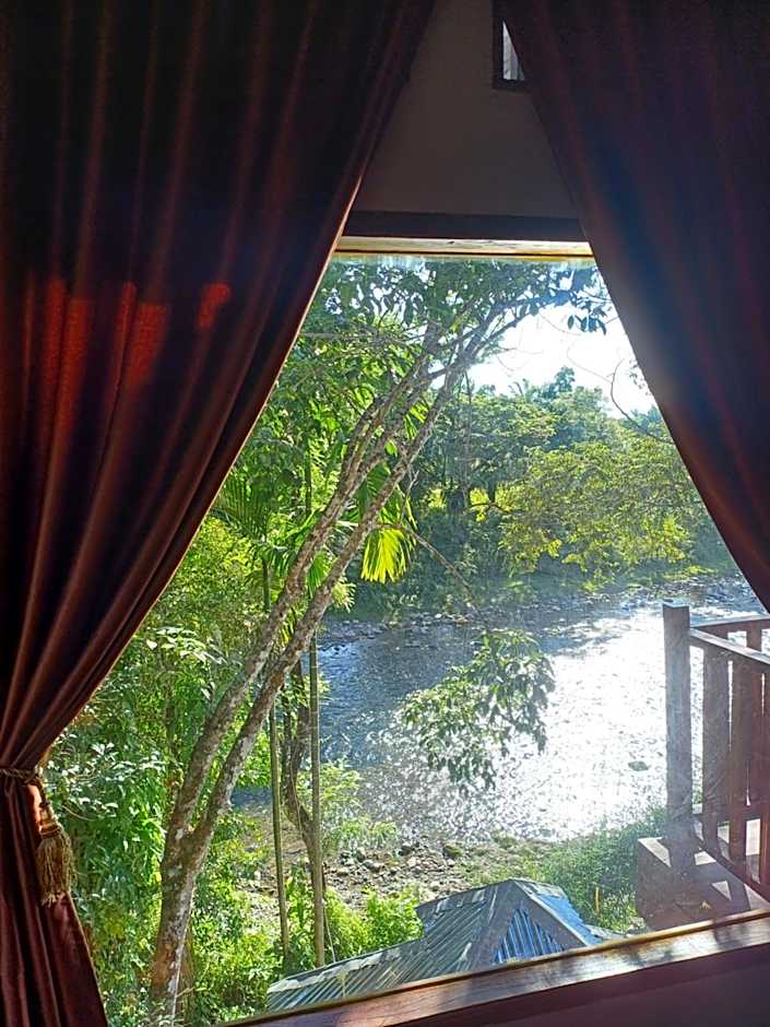 Asim Paris Guesthouse & jungle trekking