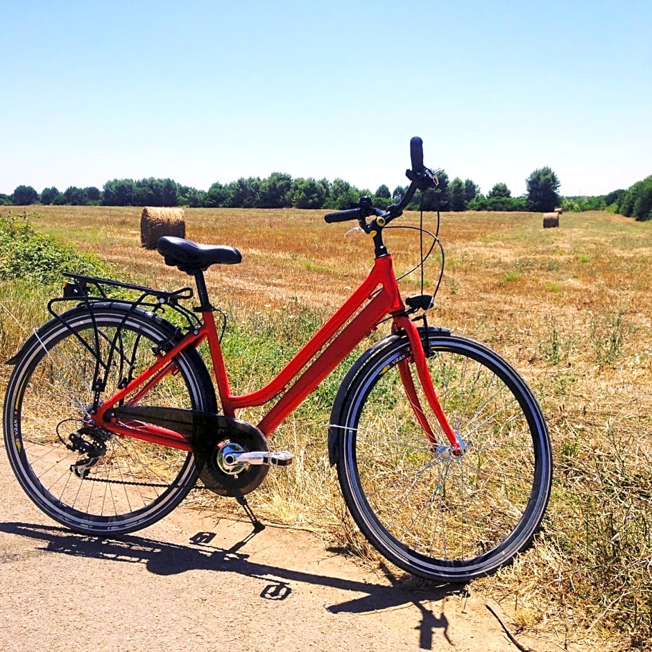Masseria Torre Sant'Andrea (Antica Masseria Malapezza)