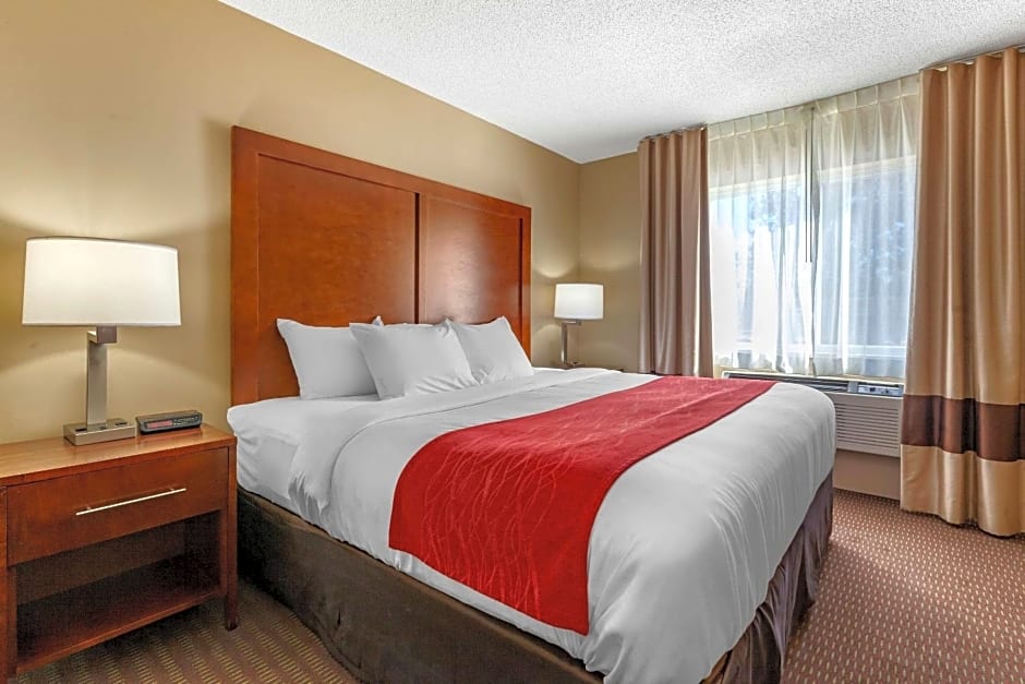 Comfort Inn Rhinelander