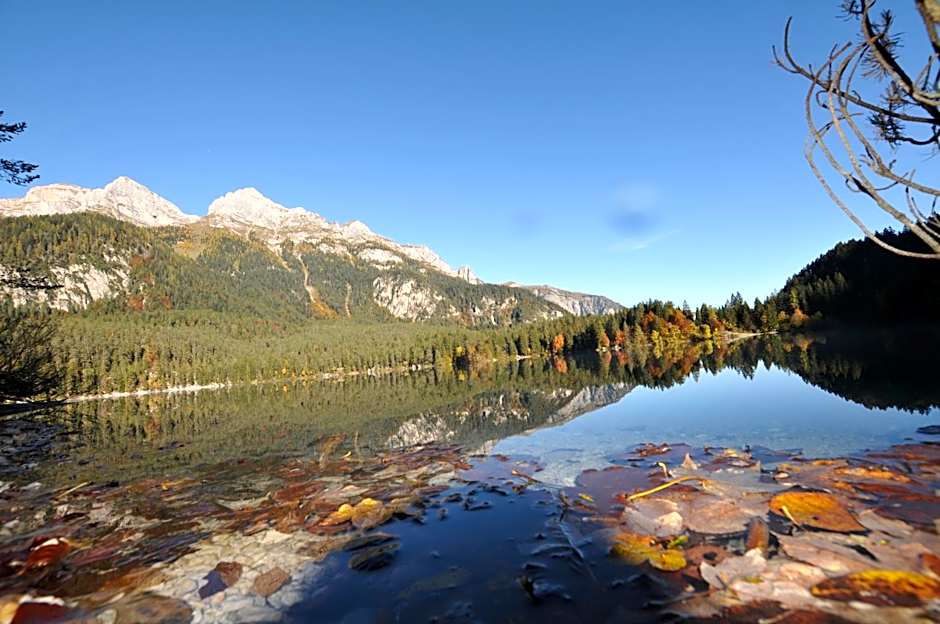 Chalet Tovel - Mountain Lake