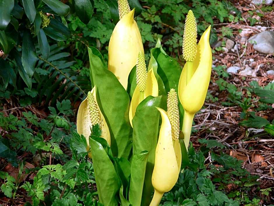 Cycle Inn Bed and Breakfast